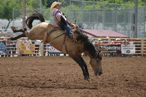 Saddle Bronc Riding Saddle Bronc Riding