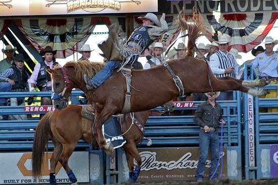 Bareback Riding Bareback Riding